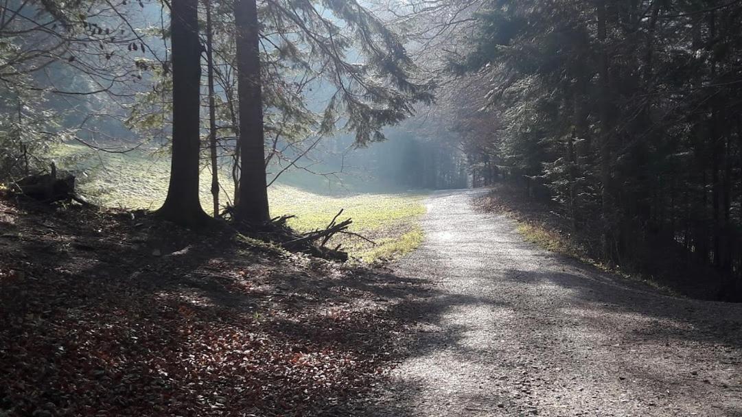 Willa Sawina Sromowce Nizne Bagian luar foto